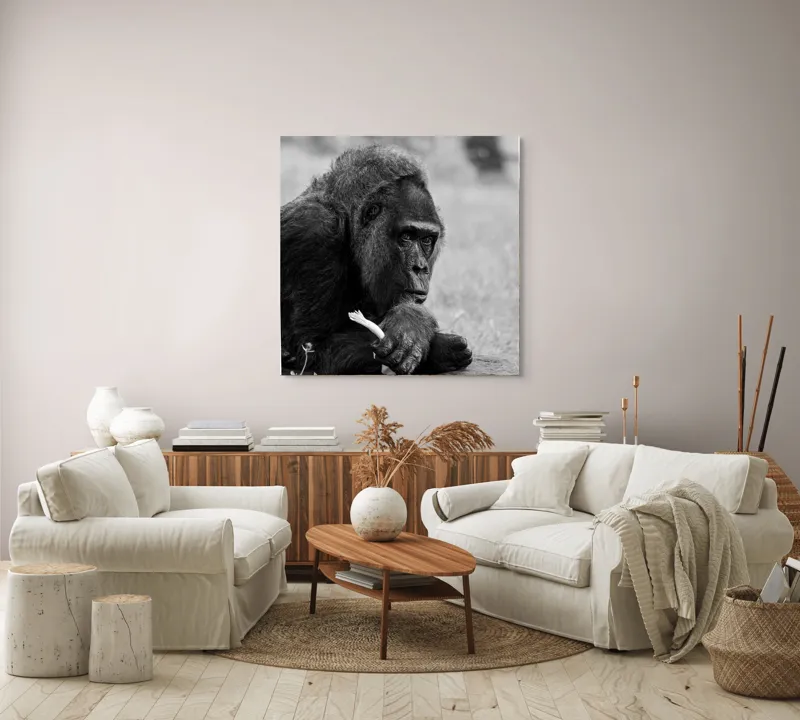 Tablou Canvas, "Gorila meditativă cu o floare", 100 x 100 cm – poza 3