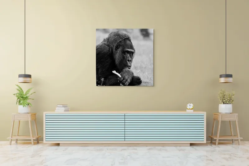 Tablou Canvas, "Gorila meditativă cu o floare", 100 x 100 cm – poza 5