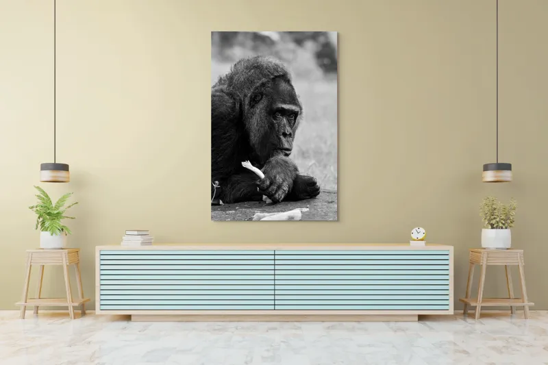 Tablou Canvas, "Gorila meditativă cu o floare", 100 x 150 cm – poza 4