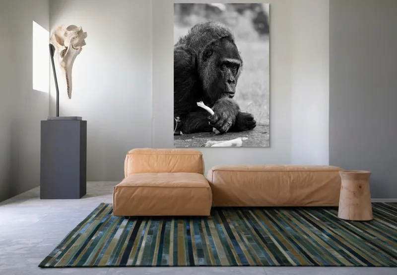 Tablou Canvas, "Gorila meditativă cu o floare", 100 x 150 cm – poza 7