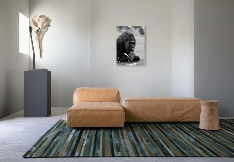 Tablou Canvas, "Gorila meditativă cu o floare", 50 x 70 cm – poza 7