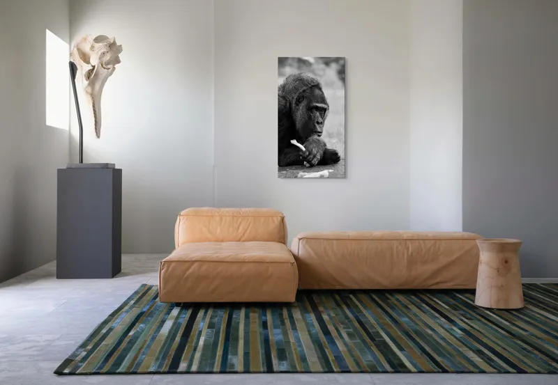 Tablou Canvas, "Gorila meditativă cu o floare", 50 x 90 cm – poza 5