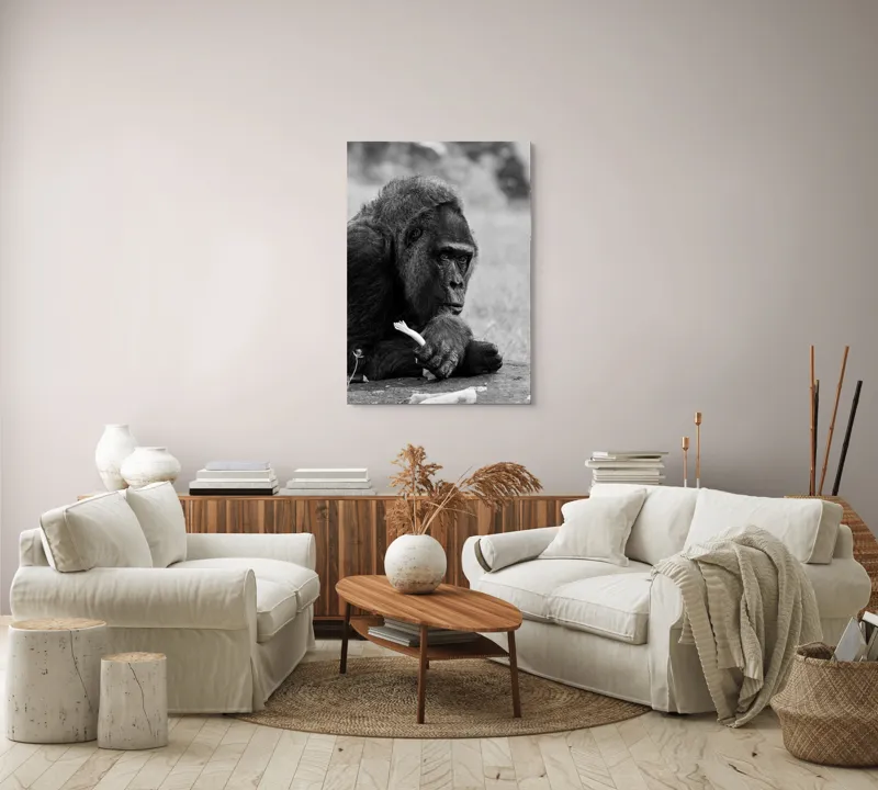 Tablou Canvas, "Gorila meditativă cu o floare", 70 x 100 cm – poza 4