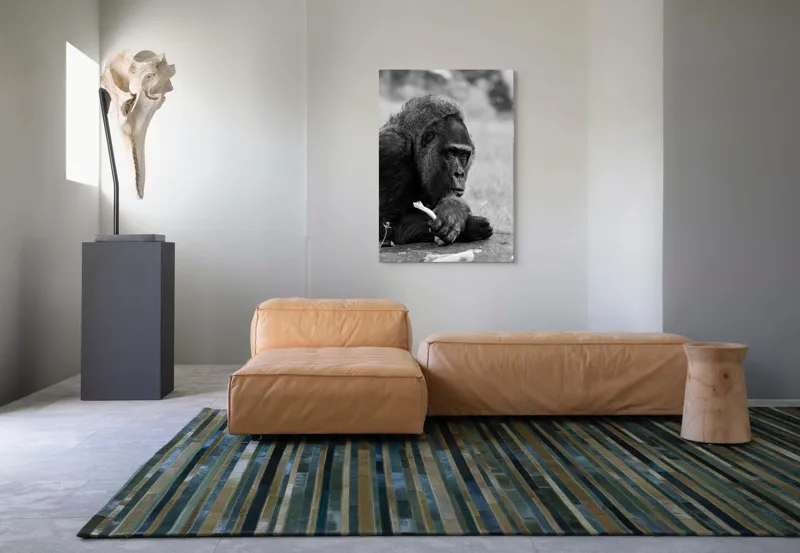 Tablou Canvas, "Gorila meditativă cu o floare", 70 x 100 cm – poza 7