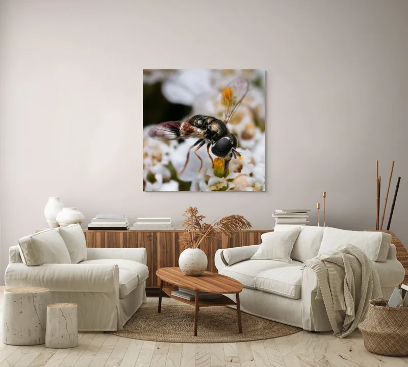 Tablou Canvas, "Albina polenizând floarea albă", Alb, Negru, Aripi, Flori, Detaliu, Natură, Fragilitate, Delicat, Microcosmos, 100 x 100 cm – poza 3