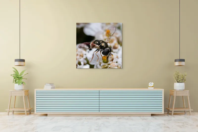 Tablou Canvas, "Albina polenizând floarea albă", Alb, Negru, Aripi, Flori, Detaliu, Natură, Fragilitate, Delicat, Microcosmos, 100 x 100 cm – poza 5