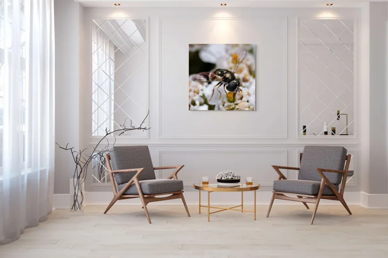Tablou Canvas, "Albina polenizând floarea albă", Alb, Negru, Aripi, Flori, Detaliu, Natură, Fragilitate, Delicat, Microcosmos, 100 x 100 cm – poza 7