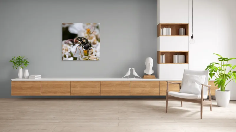 Tablou Canvas, "Albina polenizând floarea albă", Alb, Negru, Aripi, Flori, Detaliu, Natură, Fragilitate, Delicat, Microcosmos, 100 x 100 cm – poza 8