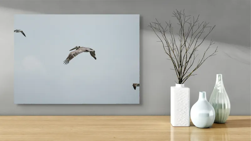 Tablou Canvas, "Pelicani zburând deasupra mării albastre", Păsări, Cer, Zbor, Aripi, Natură, Libertate, Vânt, Cer Albastru, Linie, Vedere, 70 x 50 cm – poza 3