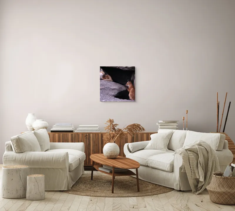 Tablou Canvas, "Vulpițe odihnindu-se în vizuină ", Vulpi, Culcuș, Liniște, Pui, Blană, Grotă, Mângâiere, Natură, 50 x 50 cm – poza 7