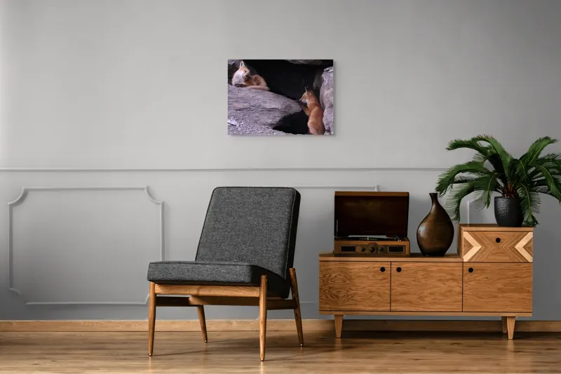 Tablou Canvas, "Vulpițe odihnindu-se în vizuină ", Vulpi, Culcuș, Liniște, Pui, Blană, Grotă, Mângâiere, Natură, 70 x 50 cm – poza 4