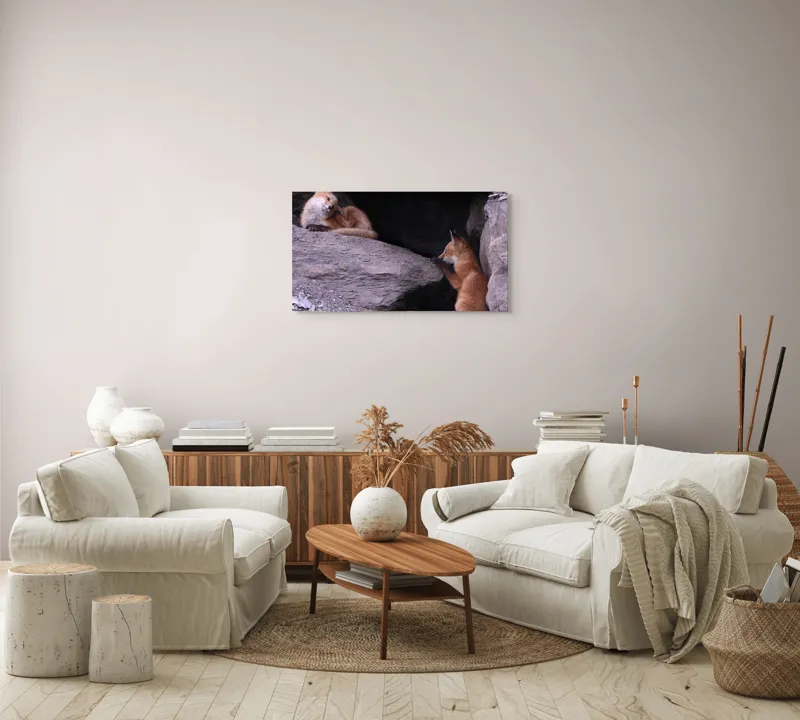 Tablou Canvas, "Vulpițe odihnindu-se în vizuină ", Vulpi, Culcuș, Liniște, Pui, Blană, Grotă, Mângâiere, Natură, 90 x 50 cm – poza 4