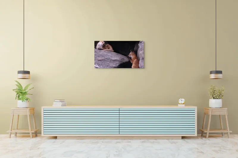 Tablou Canvas, "Vulpițe odihnindu-se în vizuină ", Vulpi, Culcuș, Liniște, Pui, Blană, Grotă, Mângâiere, Natură, 90 x 50 cm – poza 5