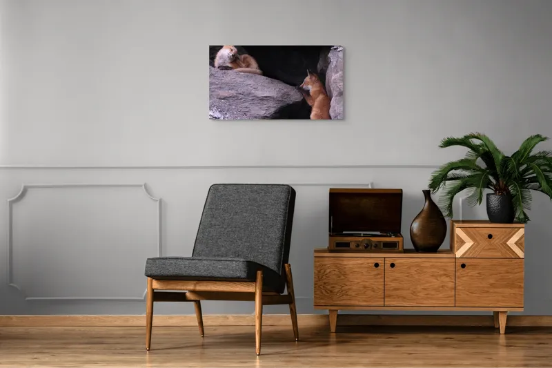 Tablou Canvas, "Vulpițe odihnindu-se în vizuină ", Vulpi, Culcuș, Liniște, Pui, Blană, Grotă, Mângâiere, Natură, 90 x 50 cm – poza 6