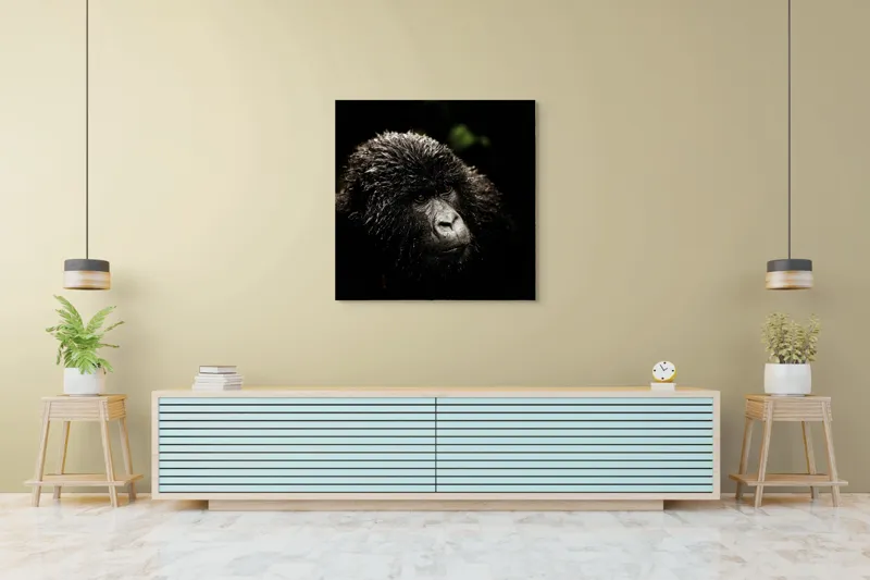 Tablou Canvas, "Gorila în ploaia pădurii tropicale", 100 x 100 cm – poza 5