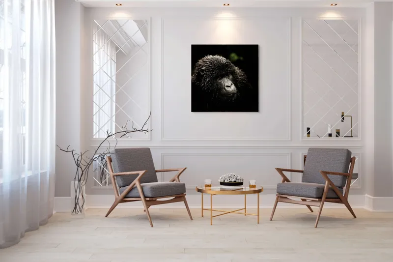 Tablou Canvas, "Gorila în ploaia pădurii tropicale", 100 x 100 cm – poza 7