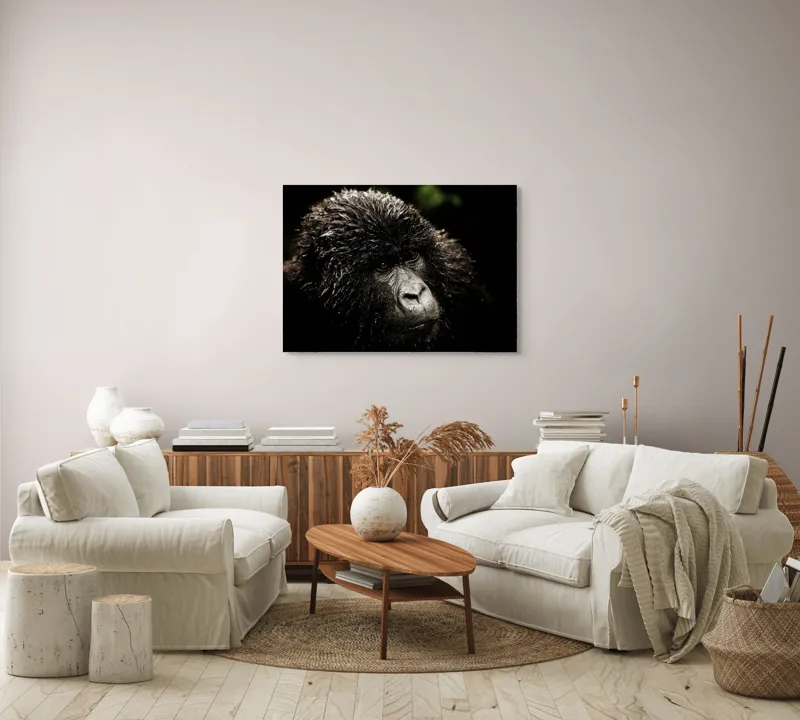 Tablou Canvas, "Gorila în ploaia pădurii tropicale", 100 x 70 cm – poza 3