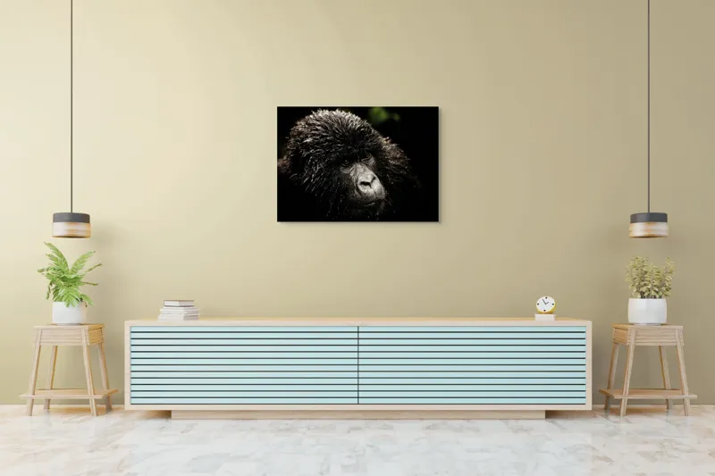 Tablou Canvas, "Gorila în ploaia pădurii tropicale", 100 x 70 cm – poza 4