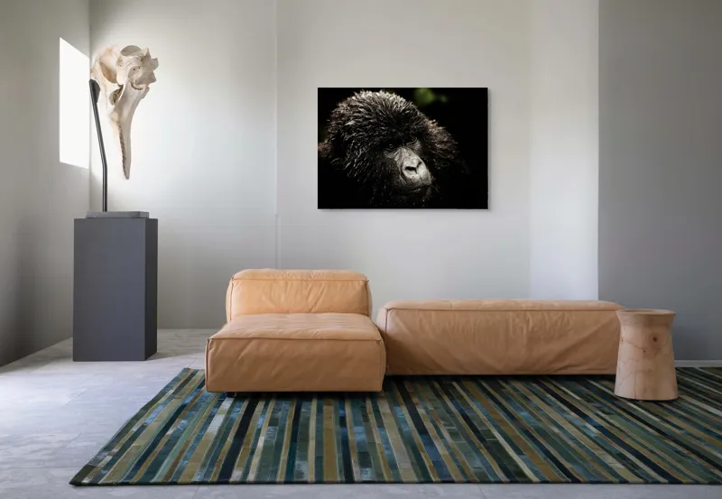 Tablou Canvas, "Gorila în ploaia pădurii tropicale", 100 x 70 cm – poza 7