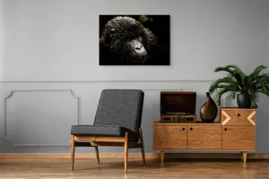 Tablou Canvas, "Gorila în ploaia pădurii tropicale", 100 x 70 cm – poza 8
