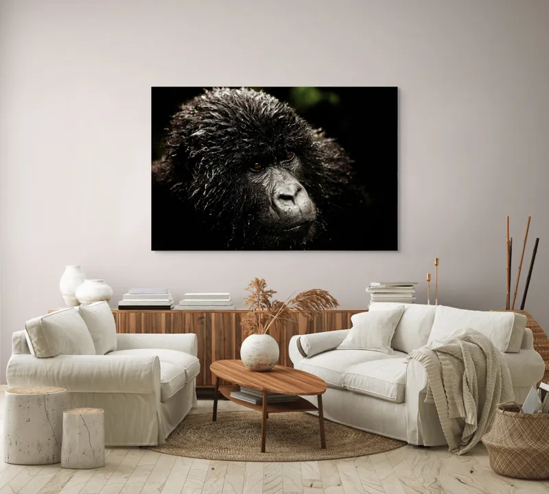 Tablou Canvas, "Gorila în ploaia pădurii tropicale", 150 x 100 cm – poza 3