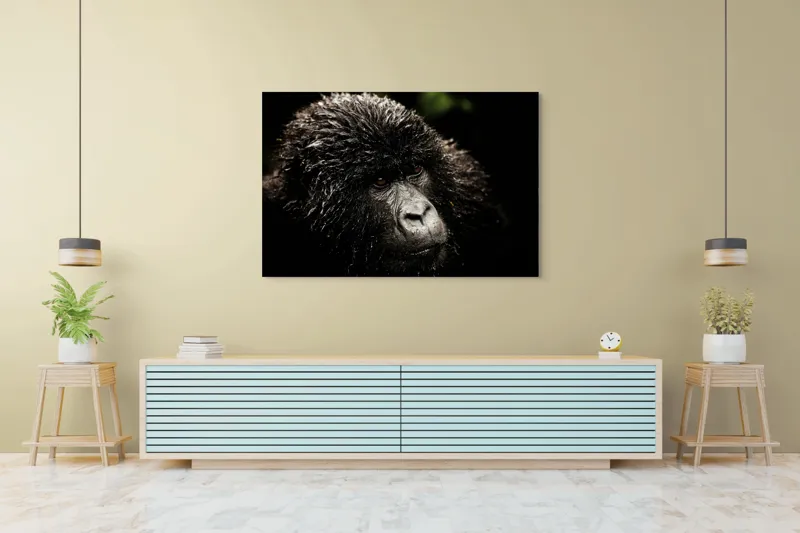 Tablou Canvas, "Gorila în ploaia pădurii tropicale", 150 x 100 cm – poza 6