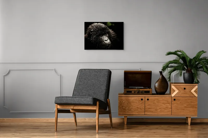 Tablou Canvas, "Gorila în ploaia pădurii tropicale", 70 x 50 cm – poza 4