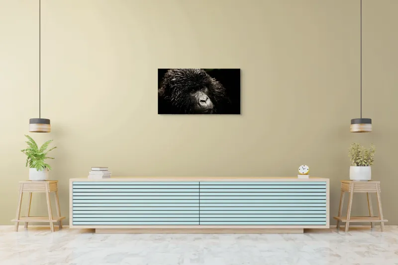 Tablou Canvas, "Gorila în ploaia pădurii tropicale", 90 x 50 cm – poza 5
