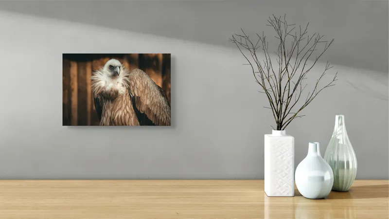 Tablou Canvas, "Vulturul stăpân al cerului albastru", Majestic, Regal, Intense, Feathery, Powerful, Graceful, 39 x 26 cm – poza 8