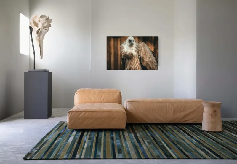 Tablou Canvas, "Vulturul stăpân al cerului albastru", Majestic, Regal, Intense, Feathery, Powerful, Graceful, 90 x 50 cm – poza 8