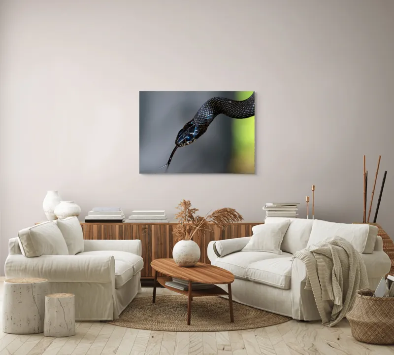 Tablou Canvas, "Șarpele elegant în umbra pădurii", Șarpe, Solzi, Negru, Ochi, Limbă, Natură, Reptilă, Detaliu, 100 x 70 cm – poza 3
