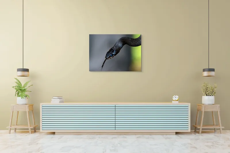 Tablou Canvas, "Șarpele elegant în umbra pădurii", Șarpe, Solzi, Negru, Ochi, Limbă, Natură, Reptilă, Detaliu, 100 x 70 cm – poza 4
