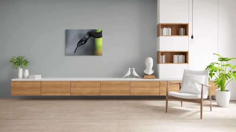 Tablou Canvas, "Șarpele elegant în umbra pădurii", Șarpe, Solzi, Negru, Ochi, Limbă, Natură, Reptilă, Detaliu, 100 x 70 cm – poza 6