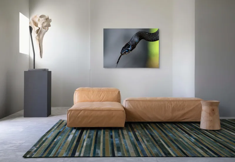 Tablou Canvas, "Șarpele elegant în umbra pădurii", Șarpe, Solzi, Negru, Ochi, Limbă, Natură, Reptilă, Detaliu, 100 x 70 cm – poza 7
