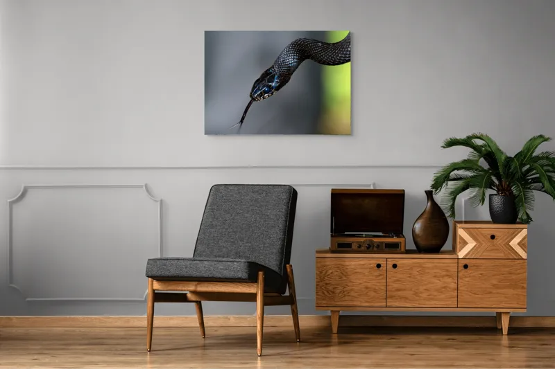 Tablou Canvas, "Șarpele elegant în umbra pădurii", Șarpe, Solzi, Negru, Ochi, Limbă, Natură, Reptilă, Detaliu, 100 x 70 cm – poza 8
