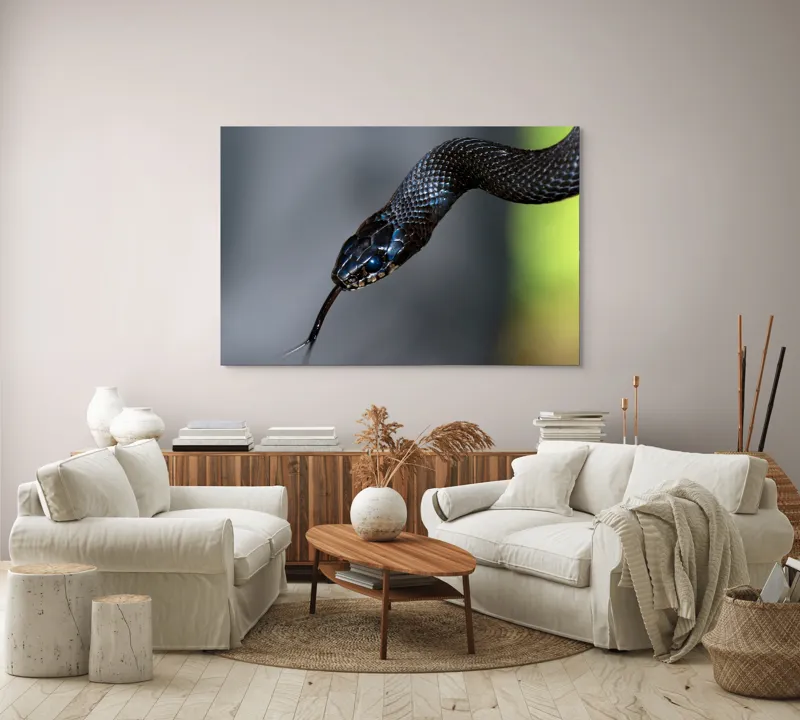 Tablou Canvas, "Șarpele elegant în umbra pădurii", Șarpe, Solzi, Negru, Ochi, Limbă, Natură, Reptilă, Detaliu, 150 x 100 cm – poza 3