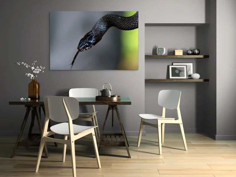 Tablou Canvas, "Șarpele elegant în umbra pădurii", Șarpe, Solzi, Negru, Ochi, Limbă, Natură, Reptilă, Detaliu, 150 x 100 cm – poza 5