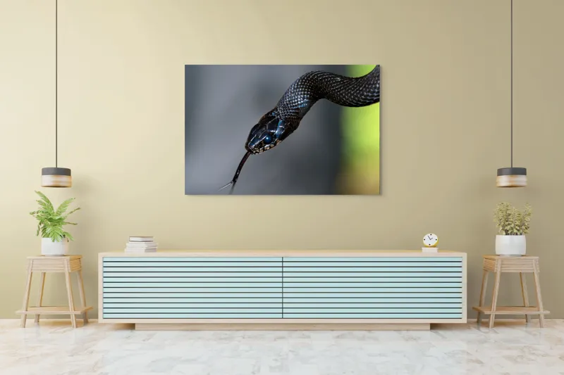 Tablou Canvas, "Șarpele elegant în umbra pădurii", Șarpe, Solzi, Negru, Ochi, Limbă, Natură, Reptilă, Detaliu, 150 x 100 cm – poza 6