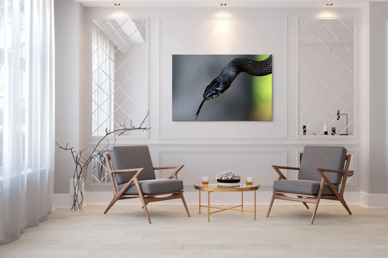 Tablou Canvas, "Șarpele elegant în umbra pădurii", Șarpe, Solzi, Negru, Ochi, Limbă, Natură, Reptilă, Detaliu, 150 x 100 cm – poza 7