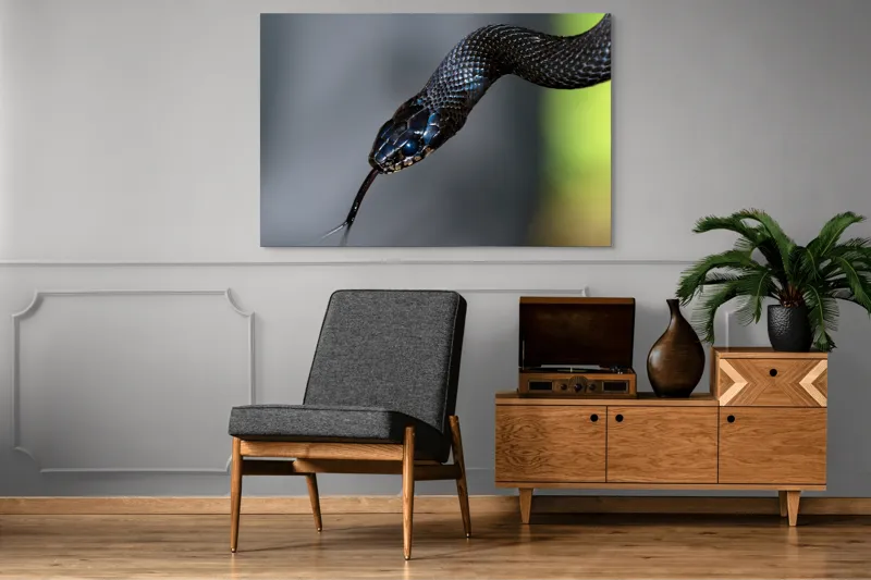 Tablou Canvas, "Șarpele elegant în umbra pădurii", Șarpe, Solzi, Negru, Ochi, Limbă, Natură, Reptilă, Detaliu, 150 x 100 cm – poza 8