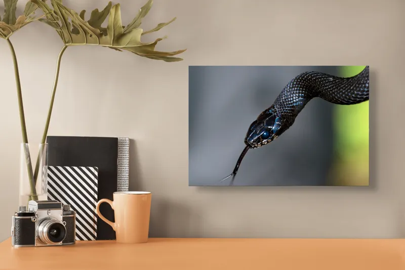 Tablou Canvas, "Șarpele elegant în umbra pădurii", Șarpe, Solzi, Negru, Ochi, Limbă, Natură, Reptilă, Detaliu, 39 x 26 cm – poza 3