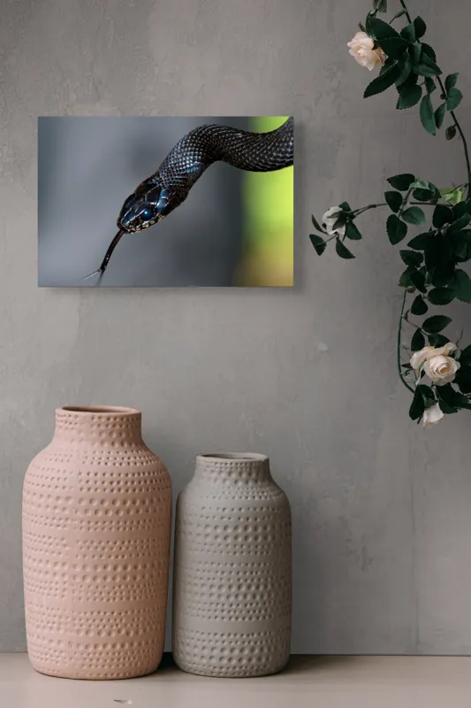 Tablou Canvas, "Șarpele elegant în umbra pădurii", Șarpe, Solzi, Negru, Ochi, Limbă, Natură, Reptilă, Detaliu, 39 x 26 cm – poza 4