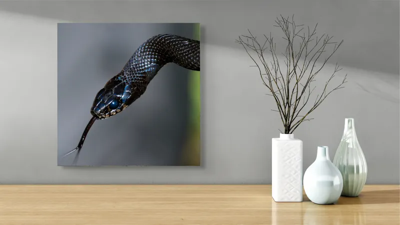 Tablou Canvas, "Șarpele elegant în umbra pădurii", Șarpe, Solzi, Negru, Ochi, Limbă, Natură, Reptilă, Detaliu, 50 x 50 cm – poza 3