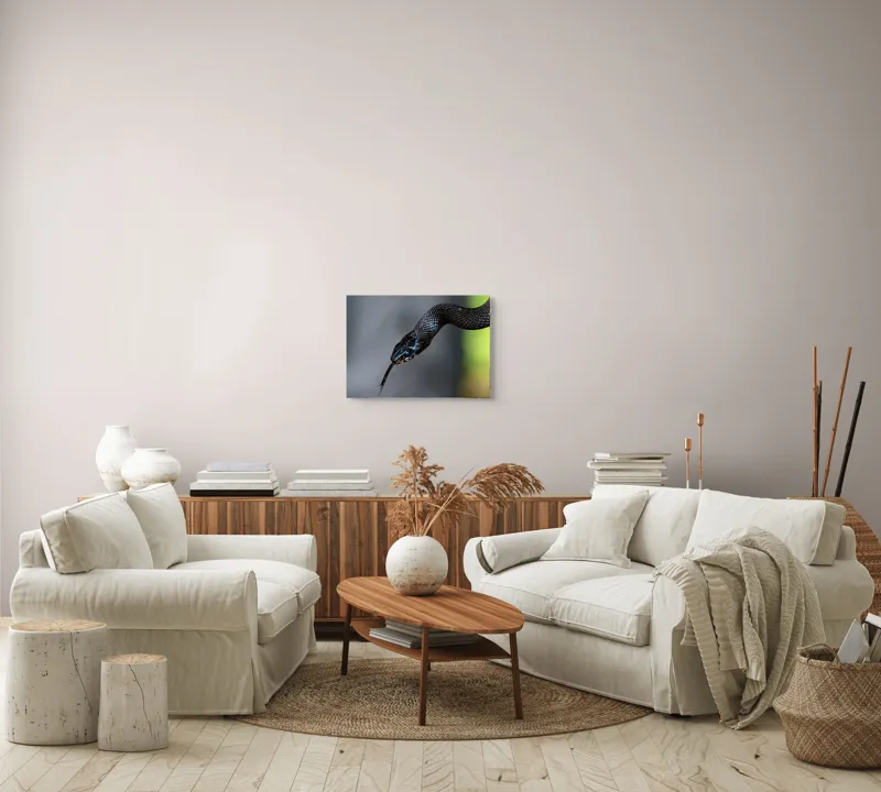 Tablou Canvas, "Șarpele elegant în umbra pădurii", Șarpe, Solzi, Negru, Ochi, Limbă, Natură, Reptilă, Detaliu, 54 x 39 cm – poza 5