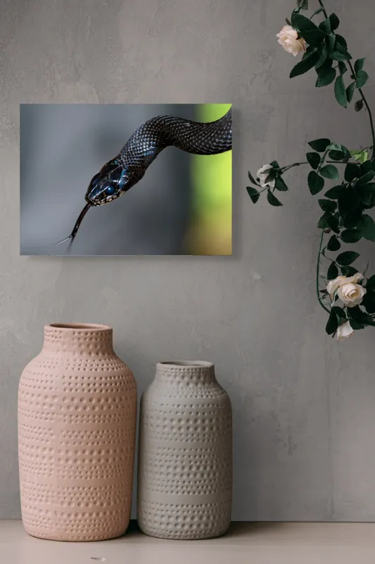 Tablou Canvas, "Șarpele elegant în umbra pădurii", Șarpe, Solzi, Negru, Ochi, Limbă, Natură, Reptilă, Detaliu, 54 x 39 cm – poza 8