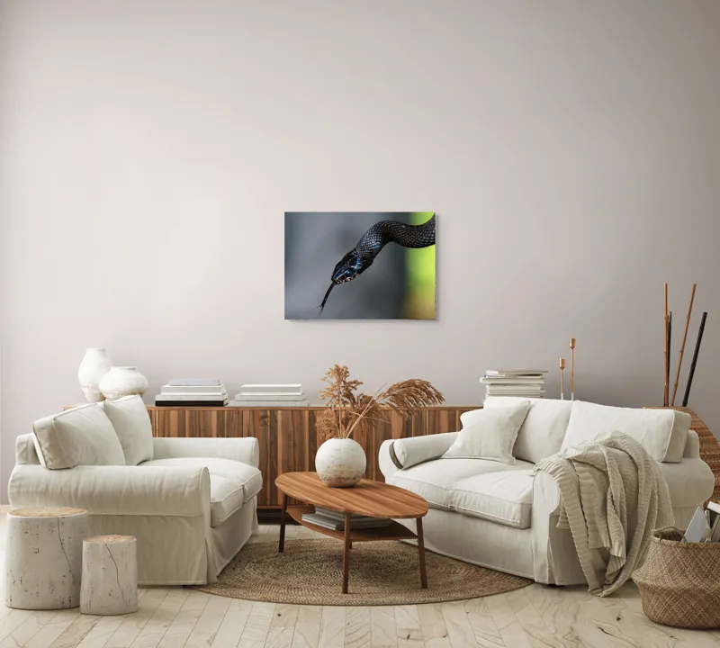 Tablou Canvas, "Șarpele elegant în umbra pădurii", Șarpe, Solzi, Negru, Ochi, Limbă, Natură, Reptilă, Detaliu, 70 x 50 cm – poza 6