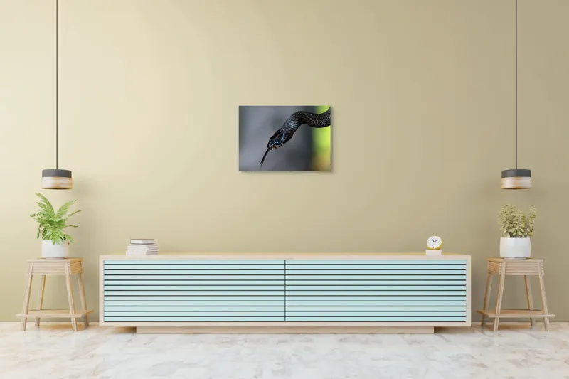 Tablou Canvas, "Șarpele elegant în umbra pădurii", Șarpe, Solzi, Negru, Ochi, Limbă, Natură, Reptilă, Detaliu, 70 x 50 cm – poza 7