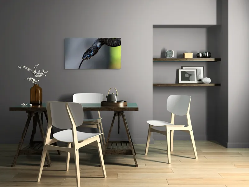 Tablou Canvas, "Șarpele elegant în umbra pădurii", Șarpe, Solzi, Negru, Ochi, Limbă, Natură, Reptilă, Detaliu, 90 x 50 cm – poza 3