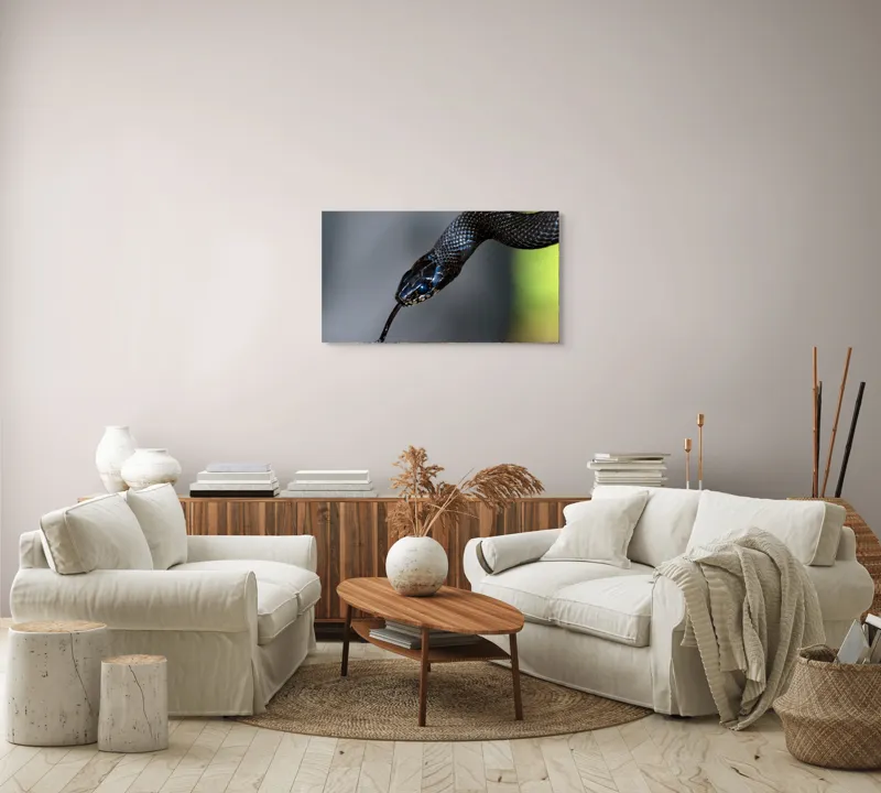 Tablou Canvas, "Șarpele elegant în umbra pădurii", Șarpe, Solzi, Negru, Ochi, Limbă, Natură, Reptilă, Detaliu, 90 x 50 cm – poza 4