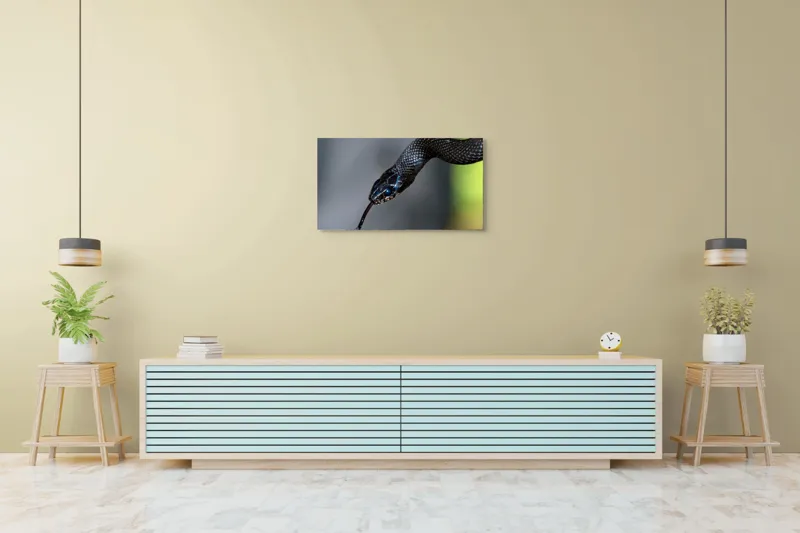 Tablou Canvas, "Șarpele elegant în umbra pădurii", Șarpe, Solzi, Negru, Ochi, Limbă, Natură, Reptilă, Detaliu, 90 x 50 cm – poza 5